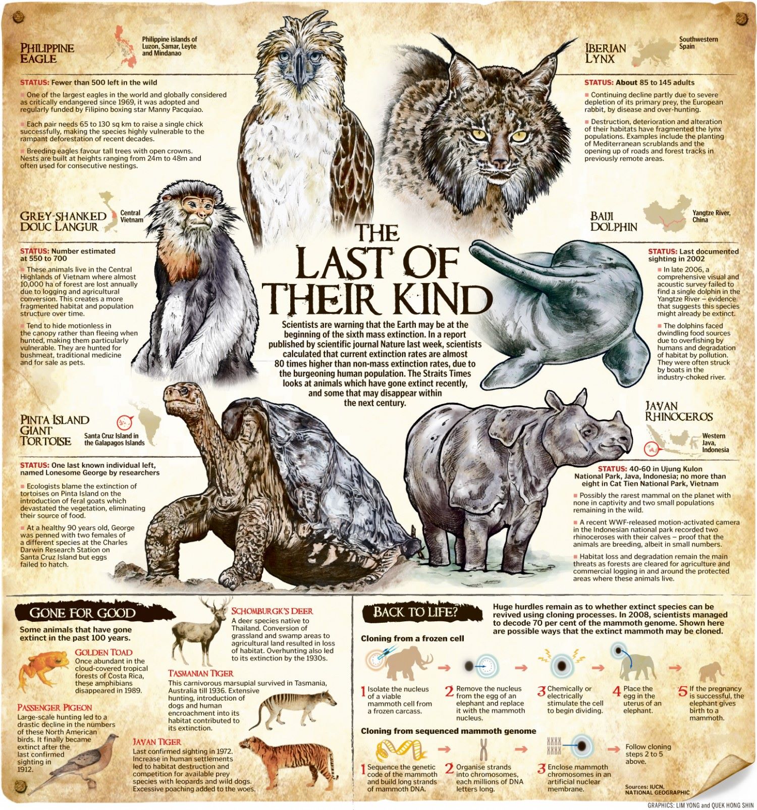 just-the-facts-endangered-animals
